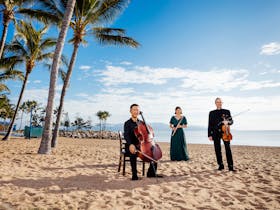 Australian Festival of Chamber Music