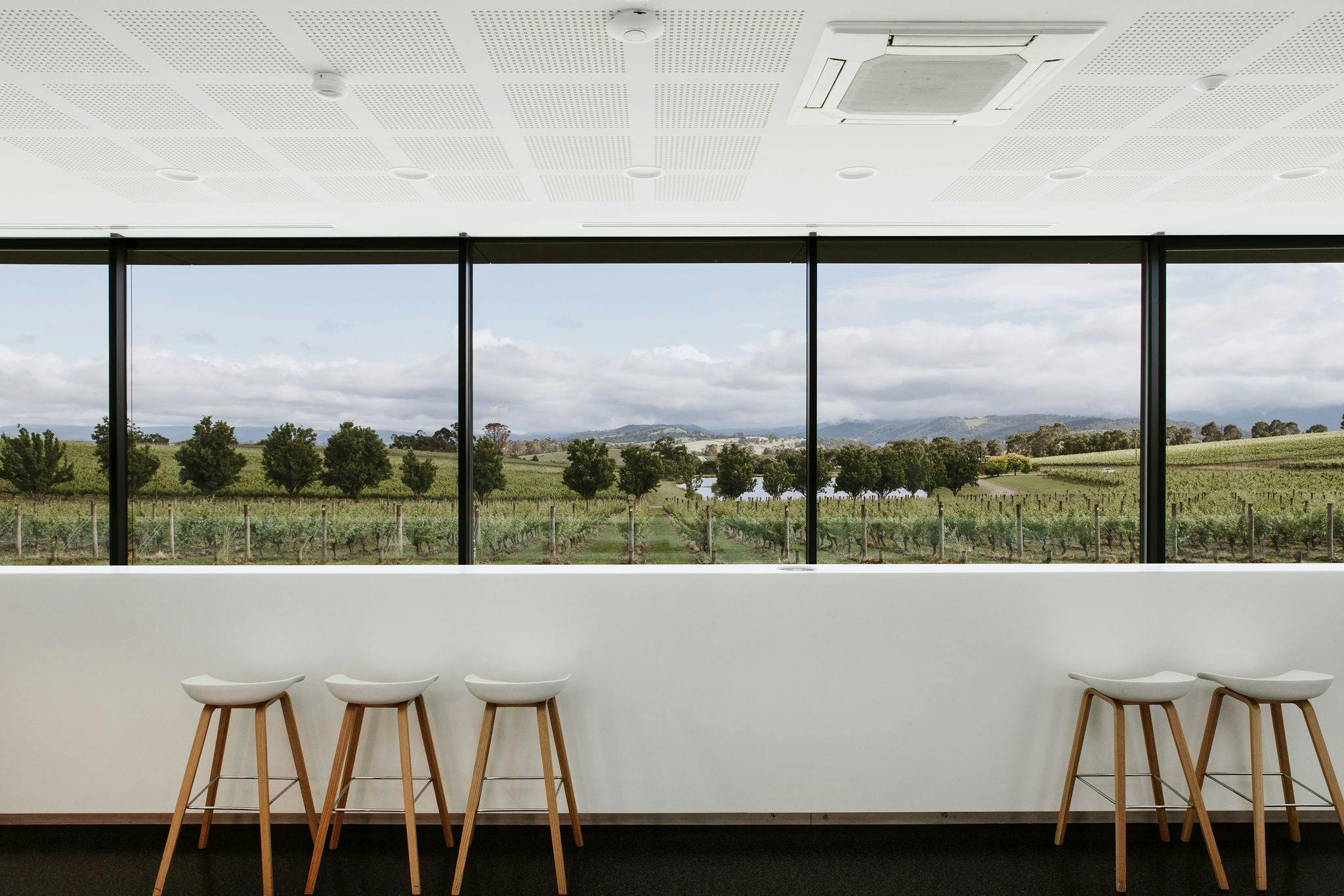 The panoramic windows at Oakridge Cellar Door, Yarra Valley