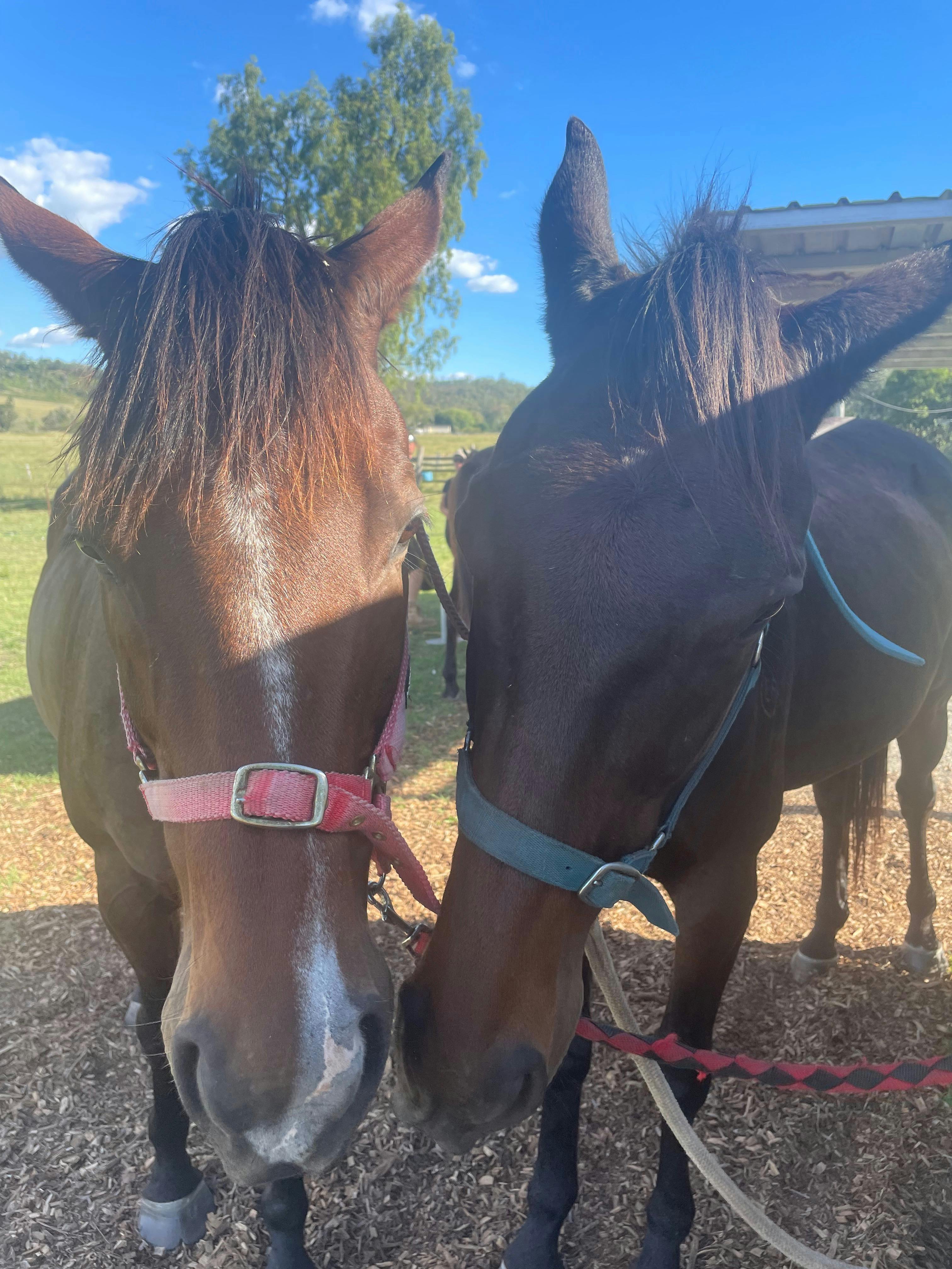 Brisbane Valley Retreat home of Equine Embrace
