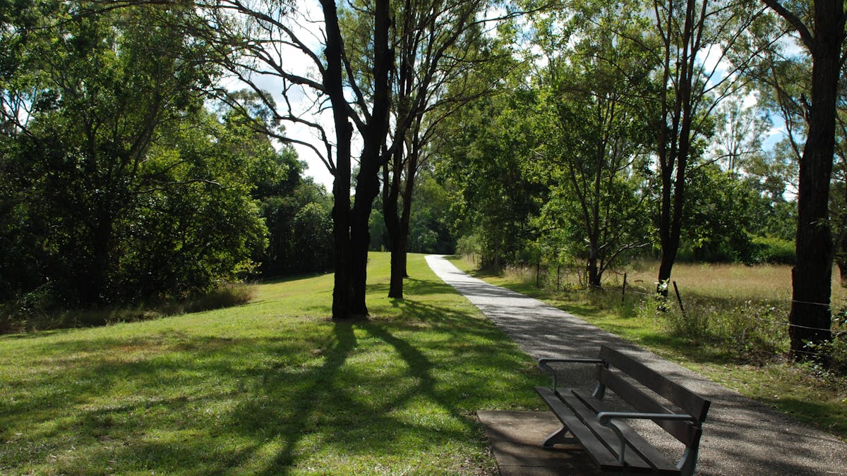 photo showing a pathway with grass and trees in Pioneer Country Park