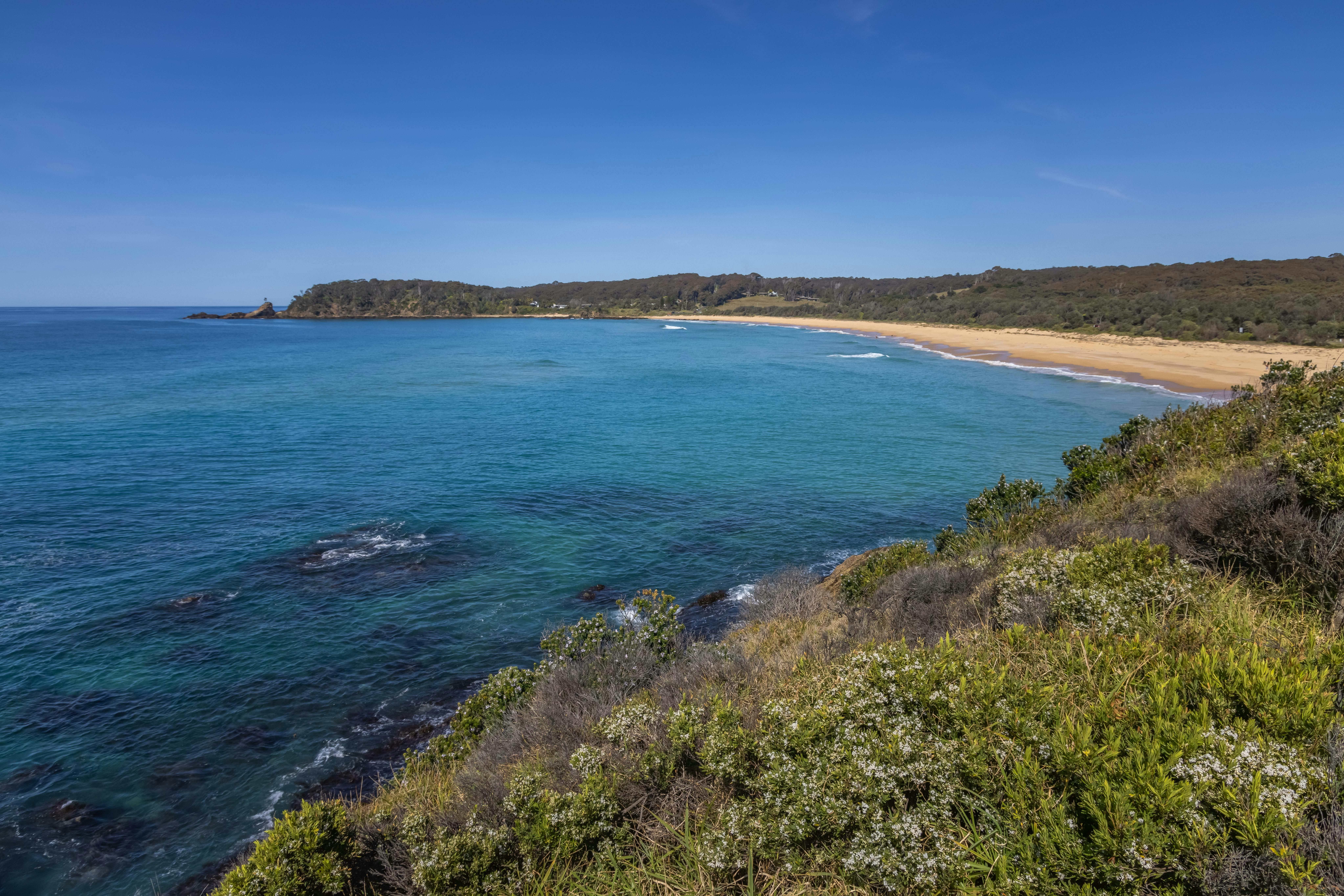 Bermagui Coastal Walk, Bermagui 걷기 사파이어 코스트 사우스 코스트 산책
