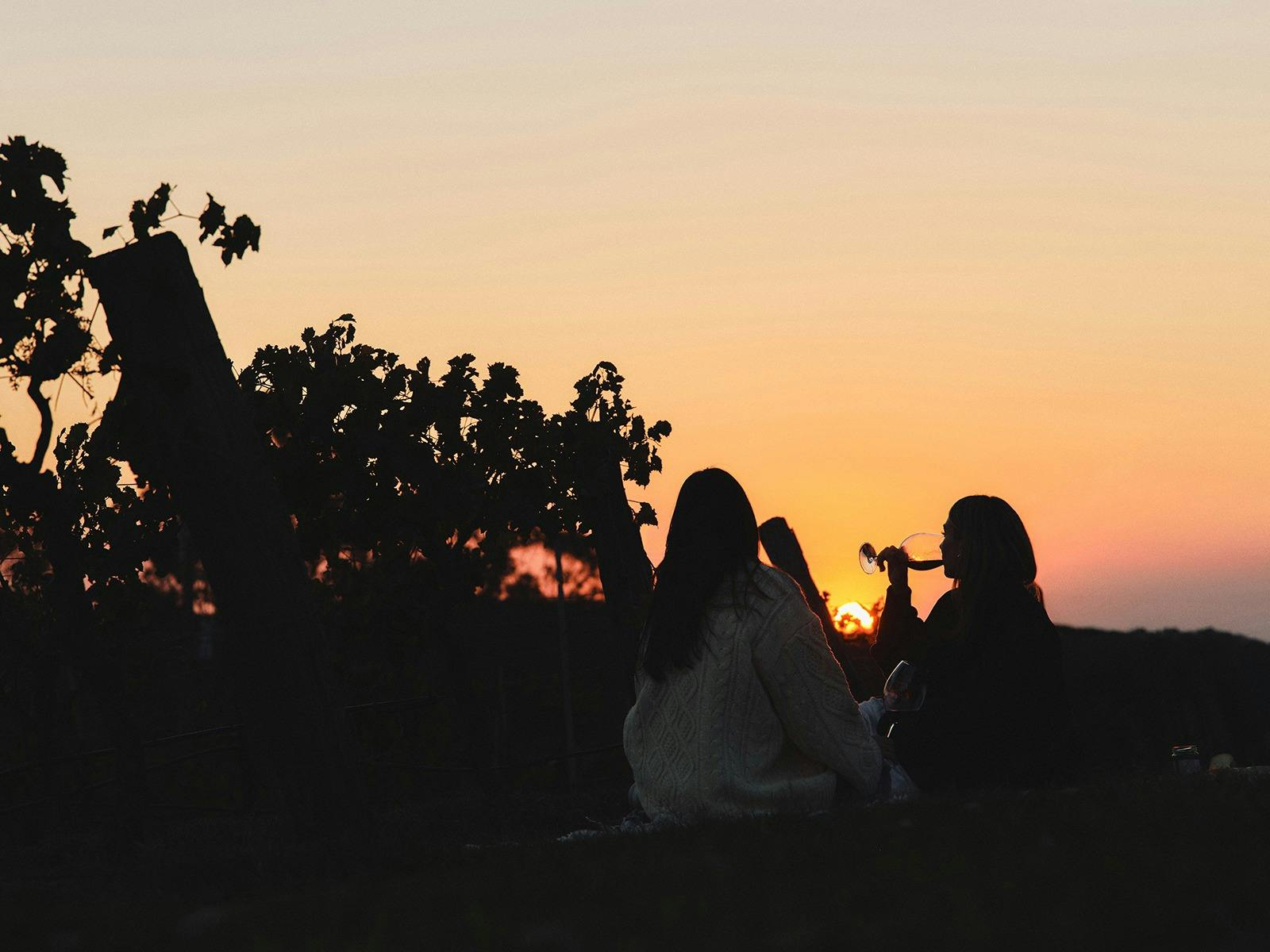 Stay 3 Nights, Pay for 2 at Spicers Vineyards Estate