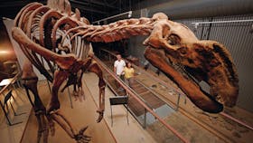 Hughie from the Flinders Discovery Centre