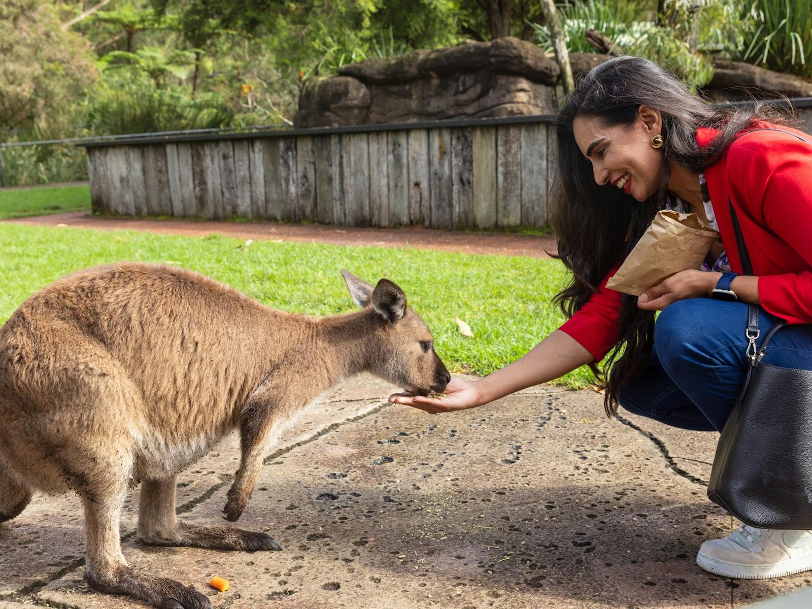 Australian Reptile Park