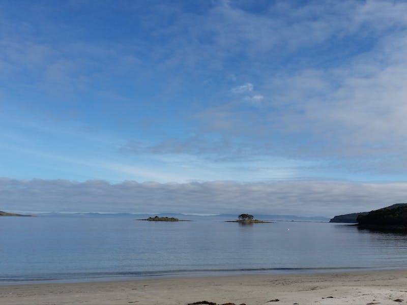 White Beach Tourist Park - Discover Tasmania