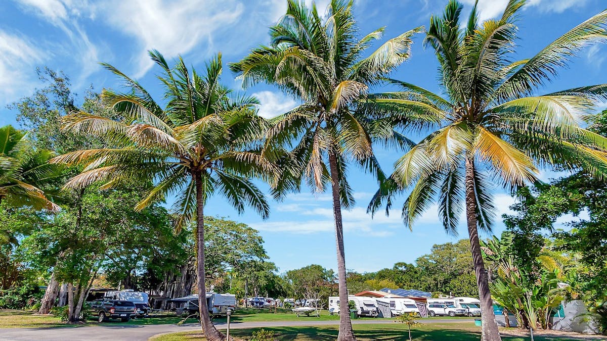Blue sky and palm trees with Caravans in the distance