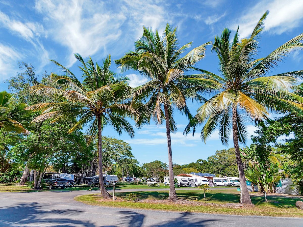 Blue sky and palm trees with Caravans in the distance