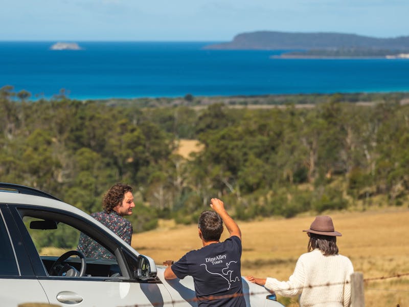 farm tours foodie tours views nature oysters ocean walks marion bay maria island vineyard distillery