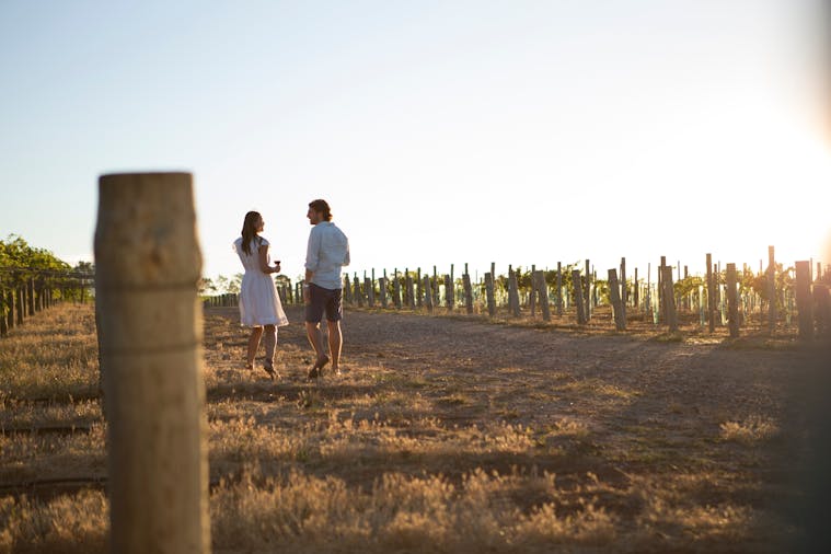 Wine Wilderness Safari