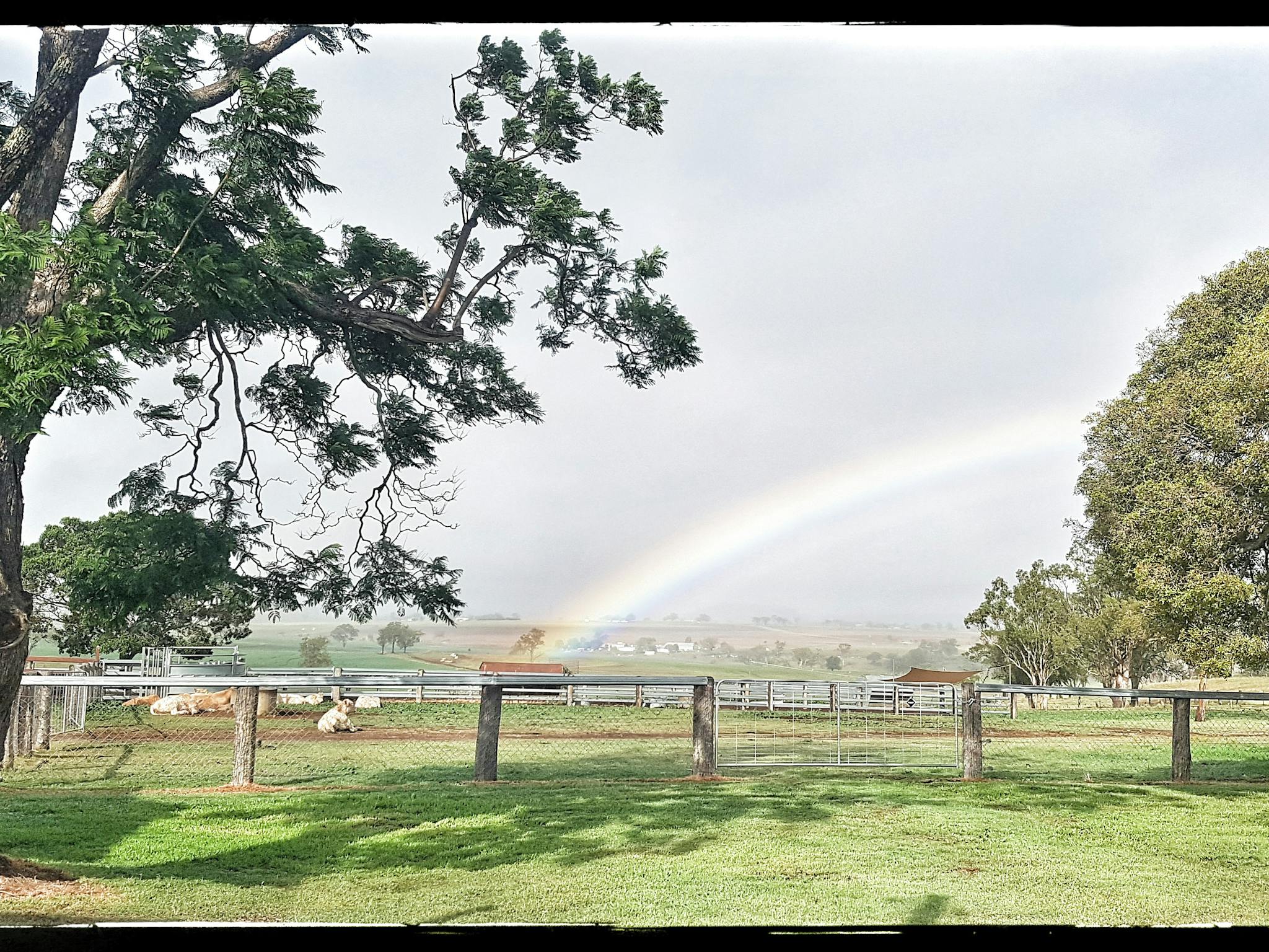 View of a rainbow from the Homestead Verandah