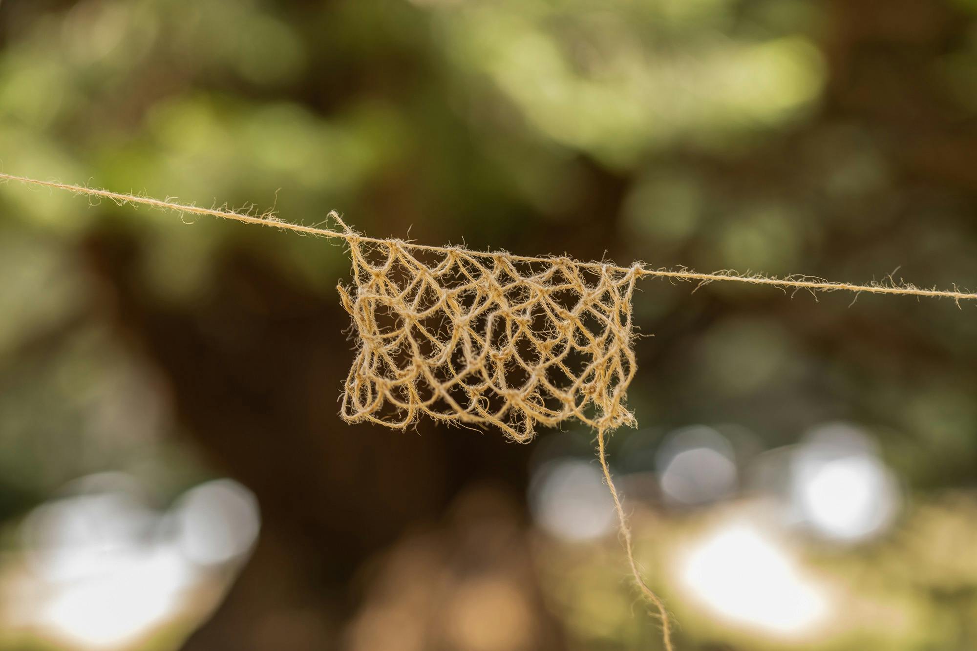Bush Tucker & Traditional Aboriginal Weaving with Wolgalu Footprints