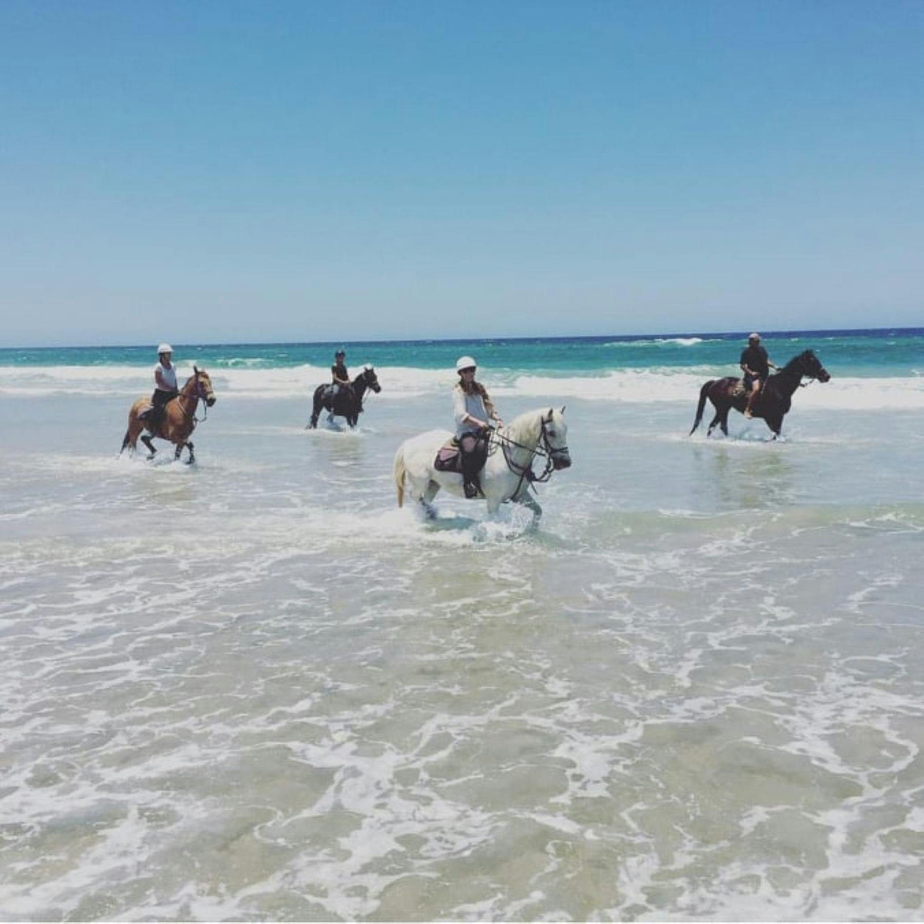 Pegasus Park Equestrian Centre