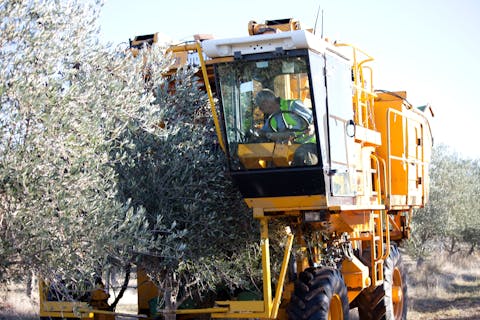 Accommodation and wellbeing 2 7ebbcf7aaf8679c9cabfeaa8650d7b15