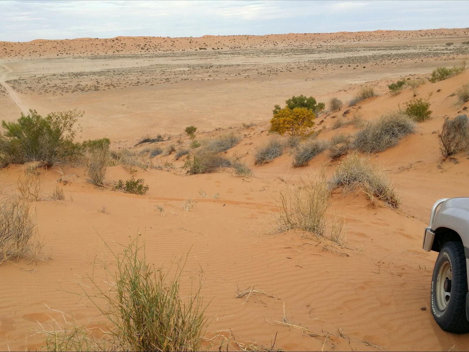 Spirit Safaris in South Australia