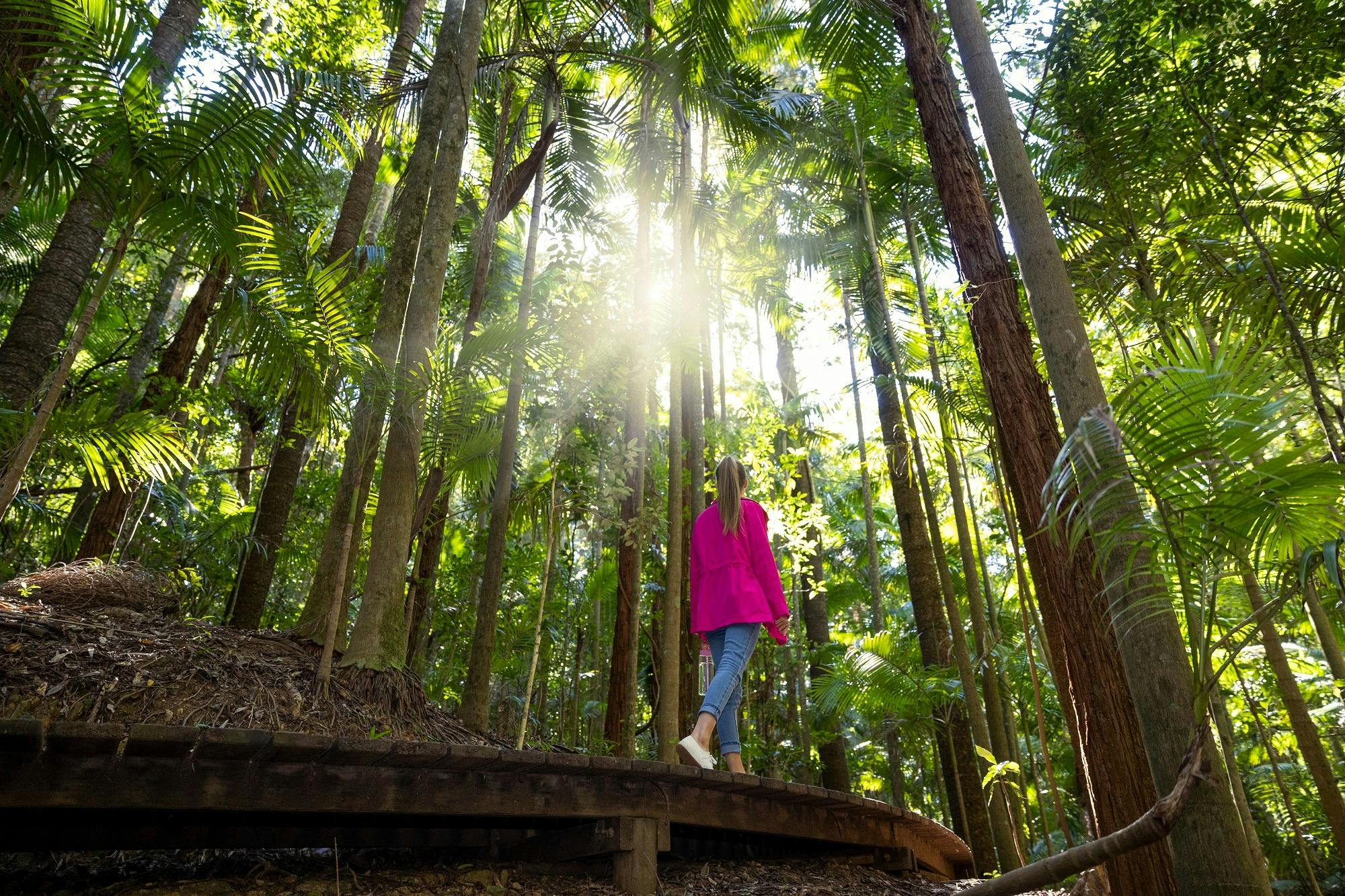 Mount Glorious image