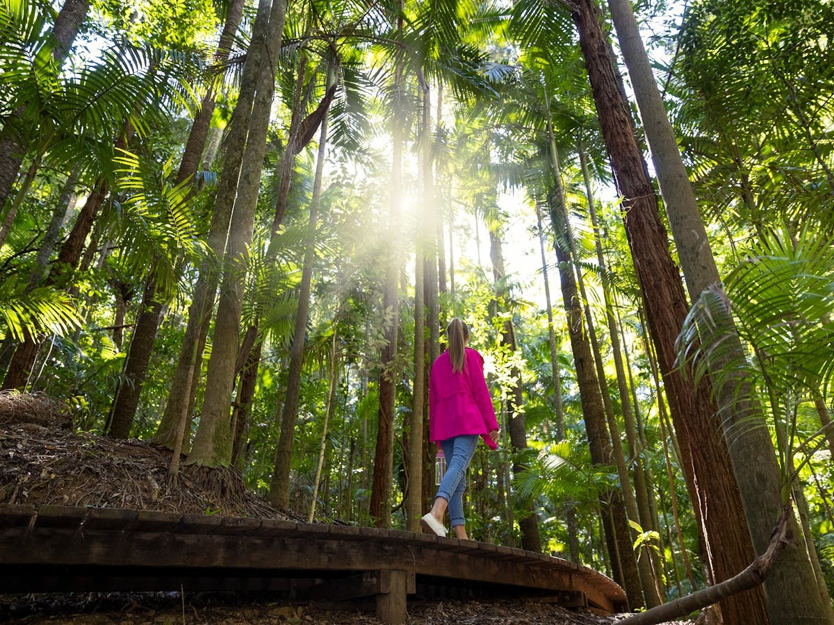 Woman walking along boardwalk under rainforest canopy