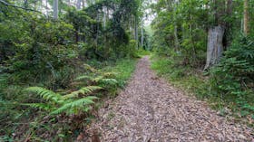Double Wharf Trail