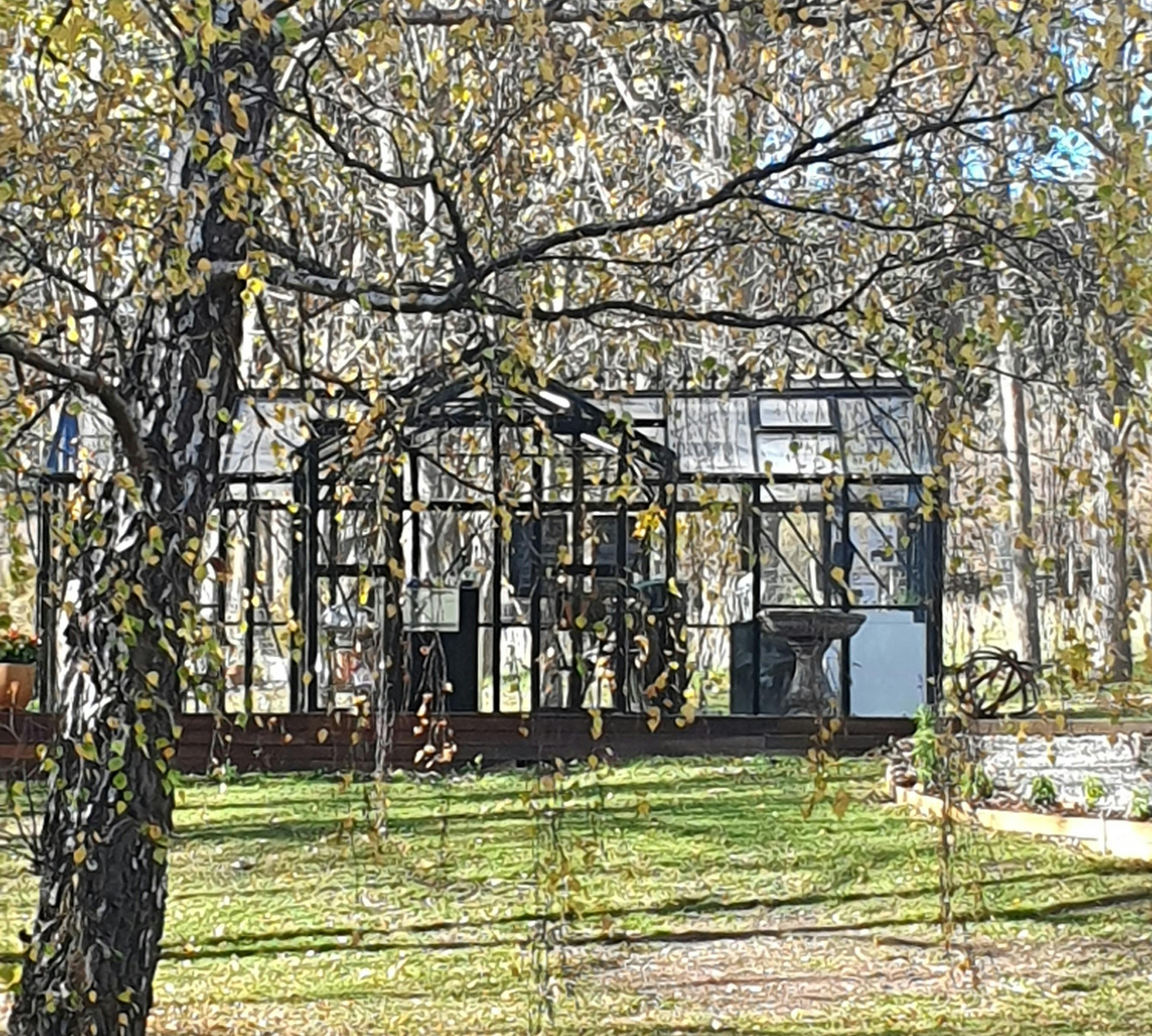 Our glasshouse cellar door in autumn