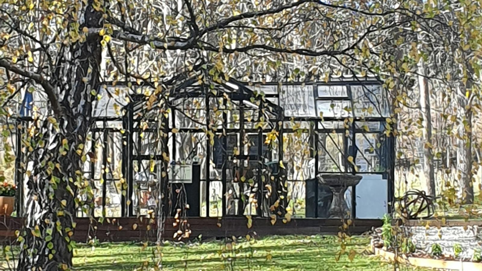 Cellar door in autumn