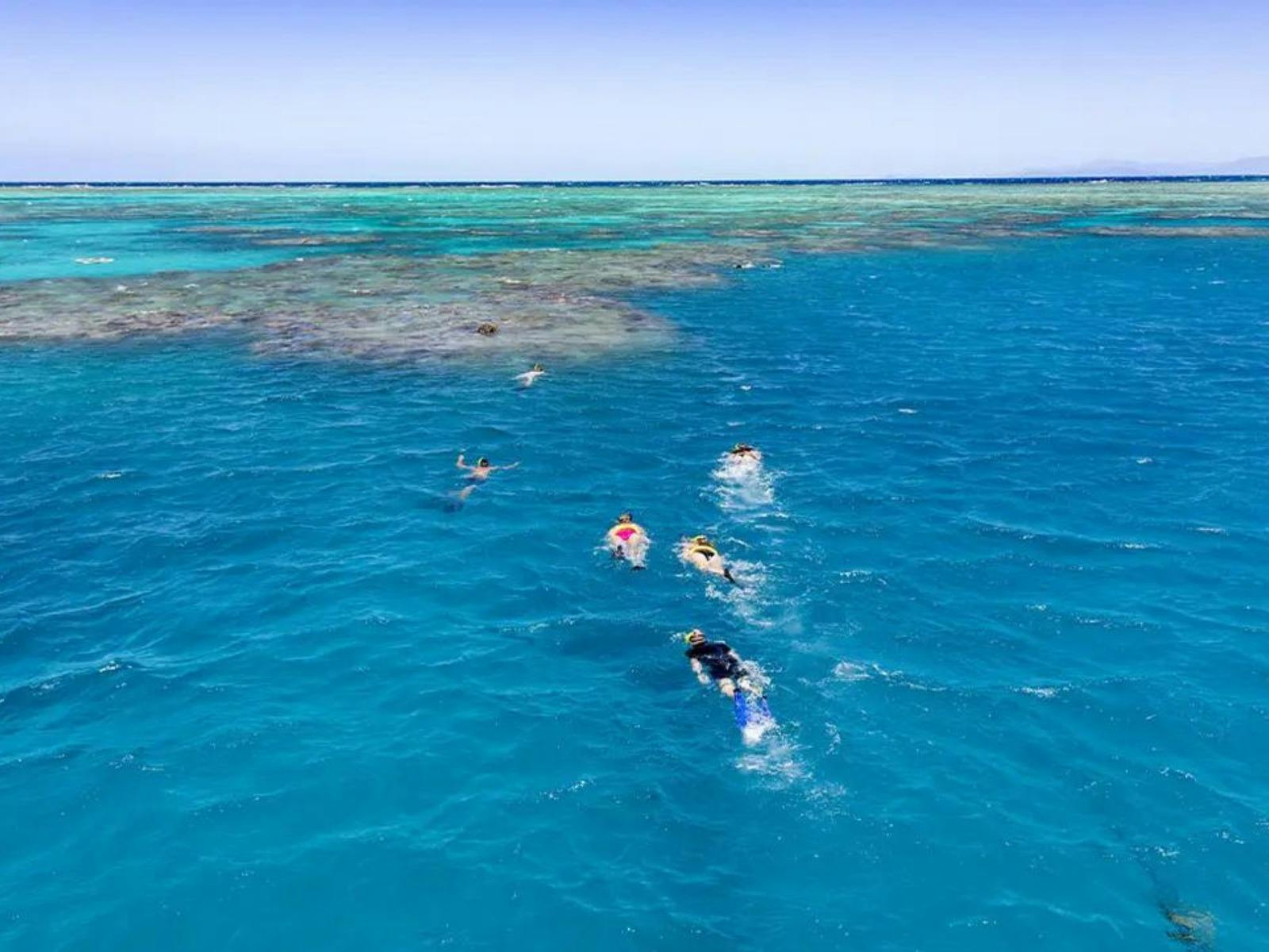 Daintree and Cape Tribulation Adventure