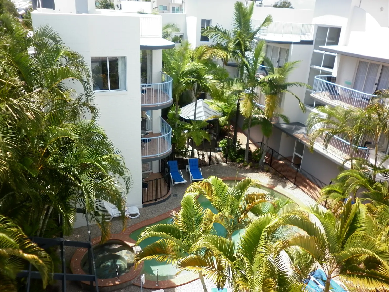 rooftop view pool and gardens