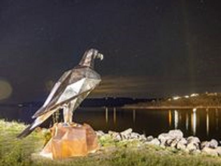 Lake Light Eagle Sculpture Jindabyne