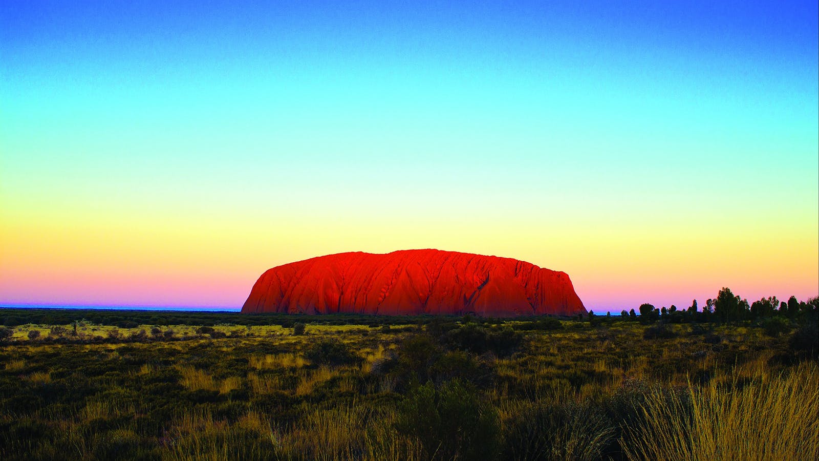 AAT Kings Day Tours (Red Centre)