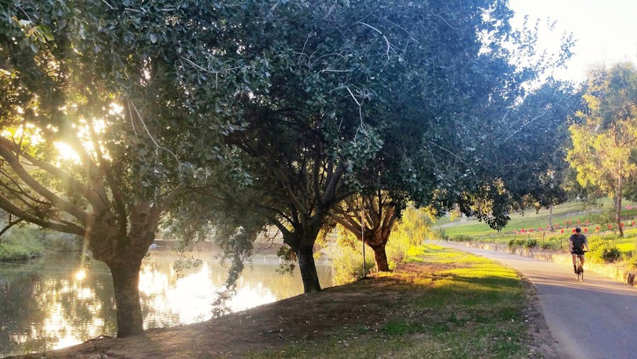 Guided Walk through Bonython Park Tulya Wardli Park 27