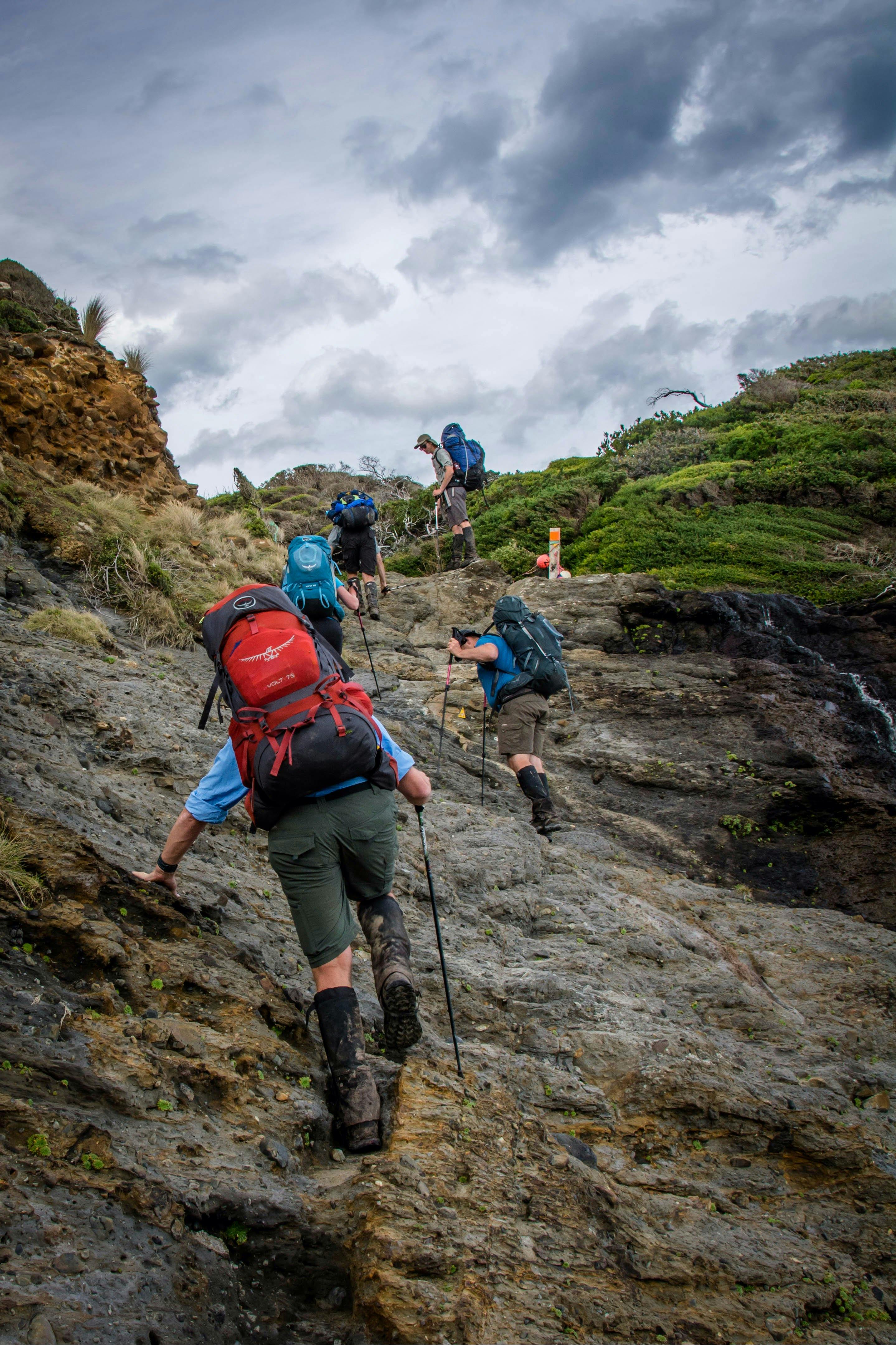 Benni south coast track leading