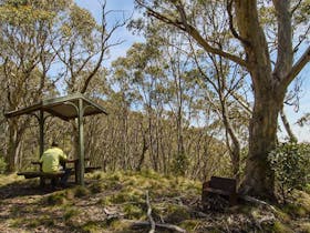 Mount Barrington picnic area