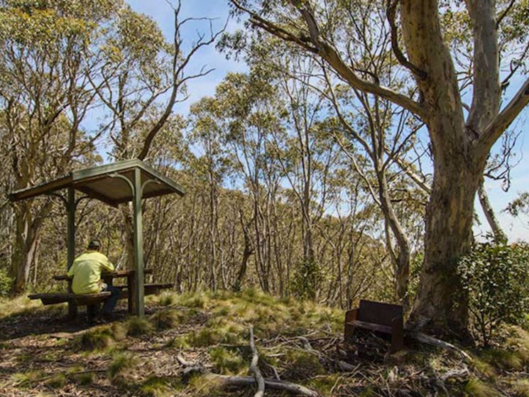 Mount Barrington picnic area