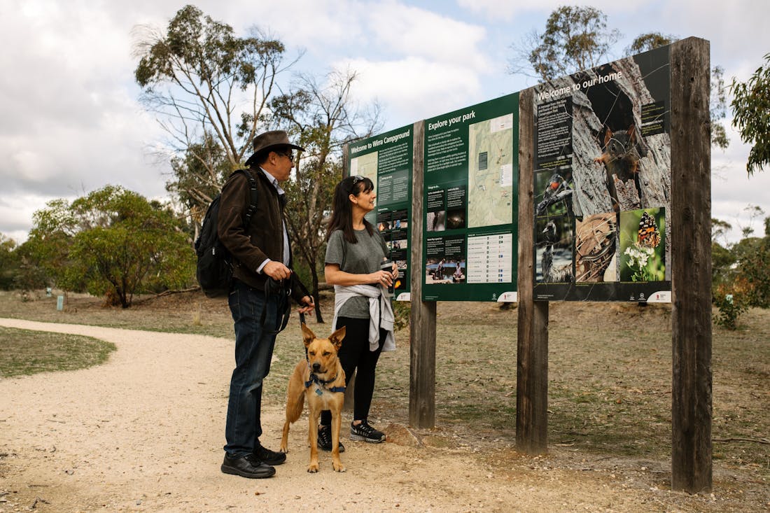 Para Wirra Conservation Park Adelaide, Attraction South Australia