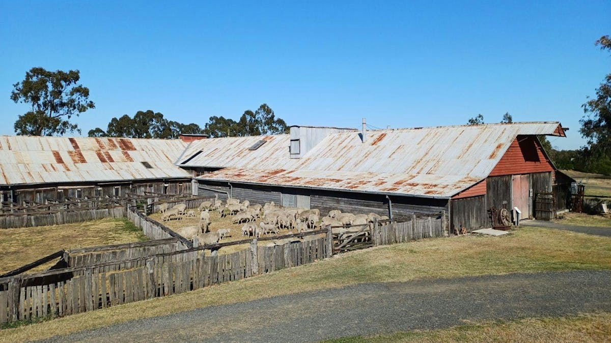 The Woolshed