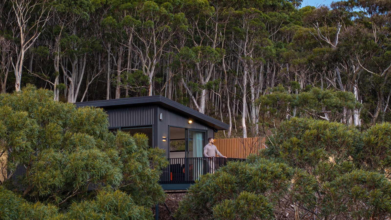 Mosswood Cabin Nestled In The Trees