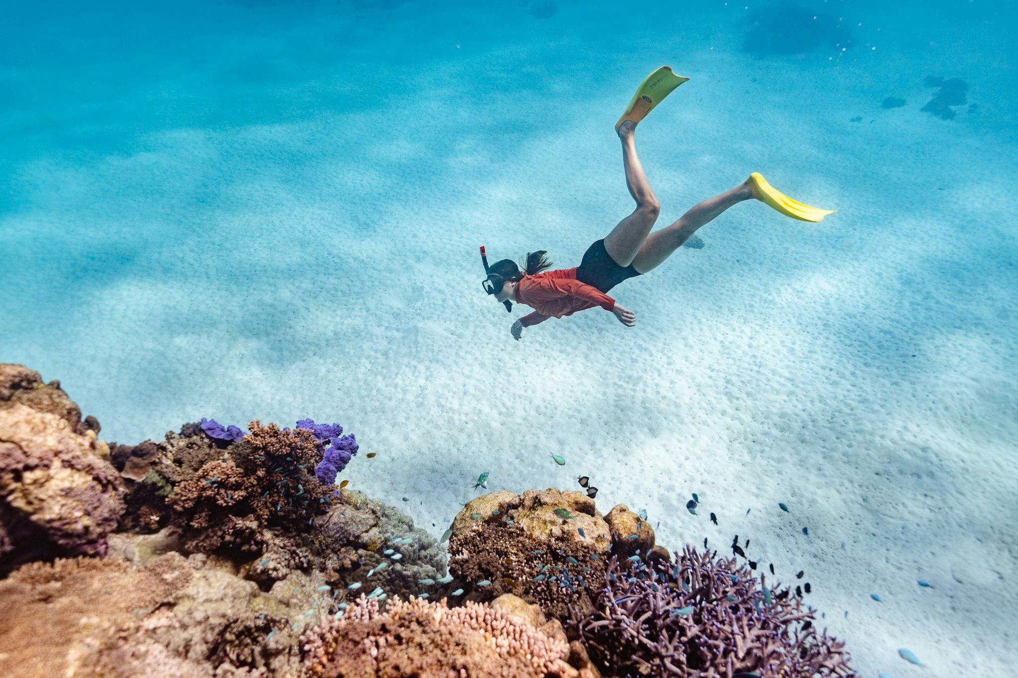 Snorkeling the pristine Ningaloo Lagoon