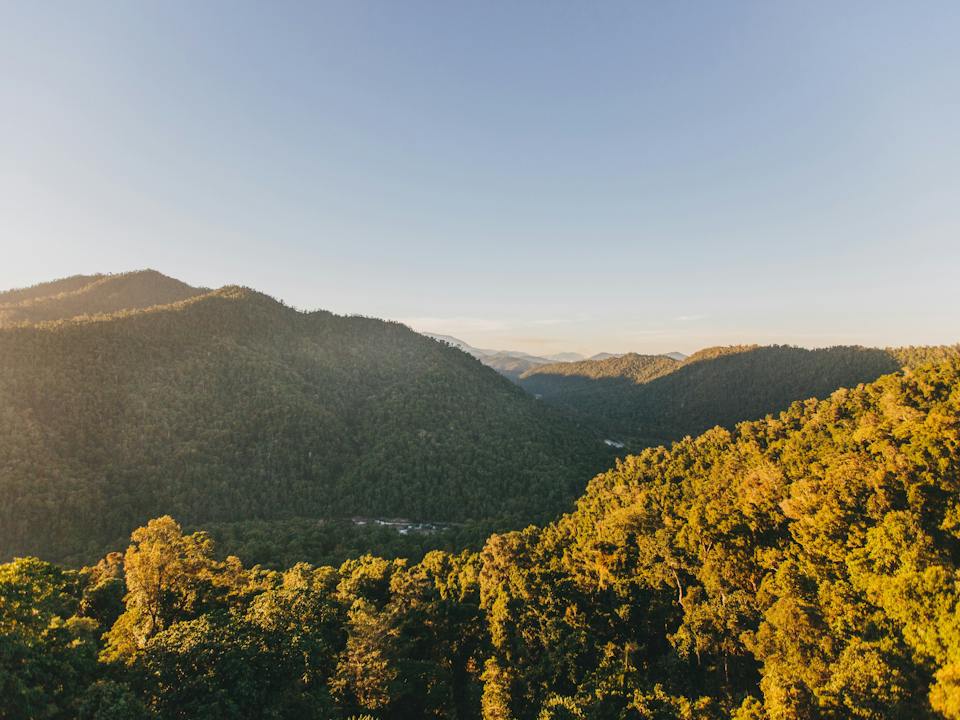 View from the top of the Observation Tower