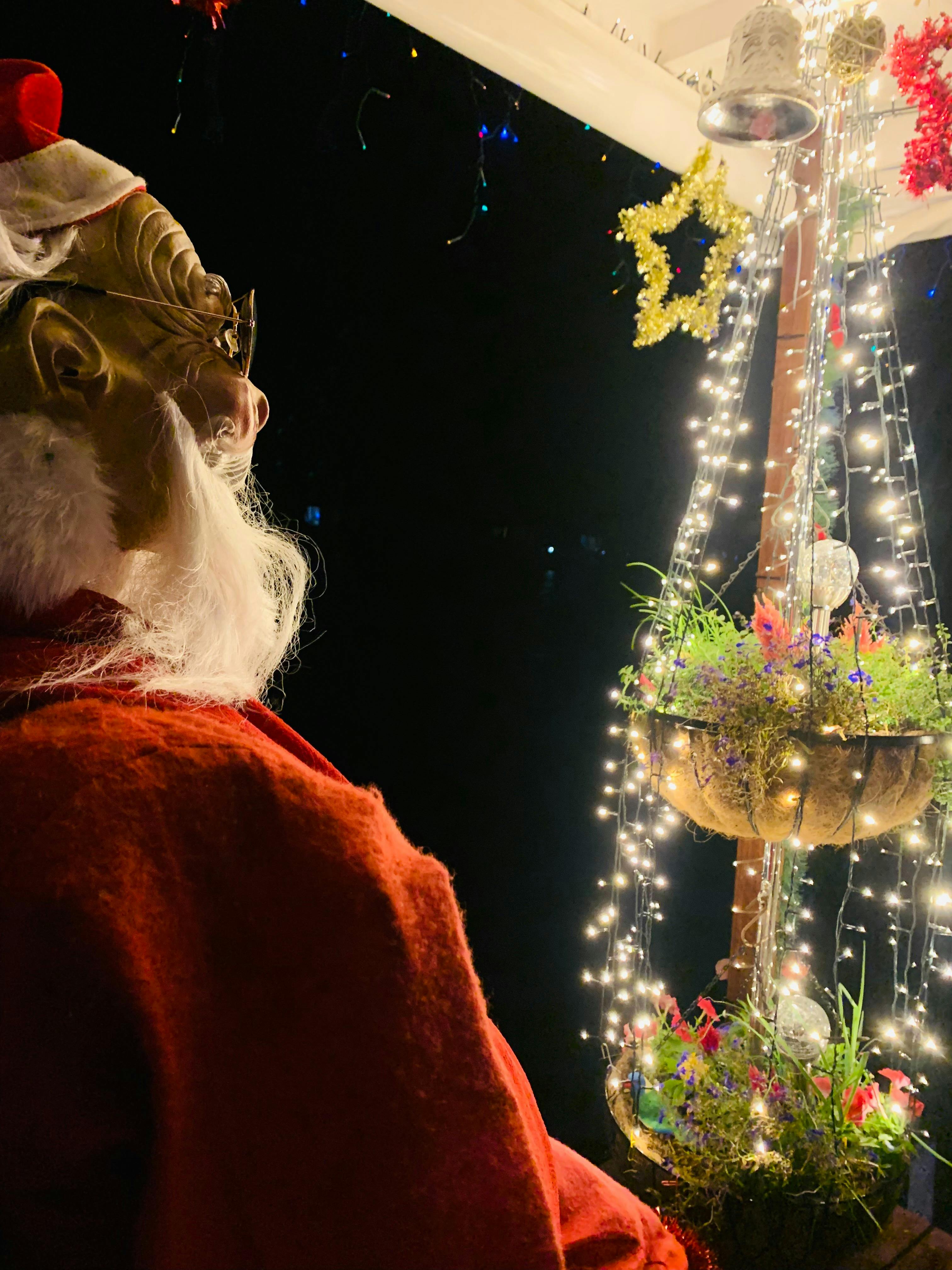 Yamba Iluka Christmas Boat