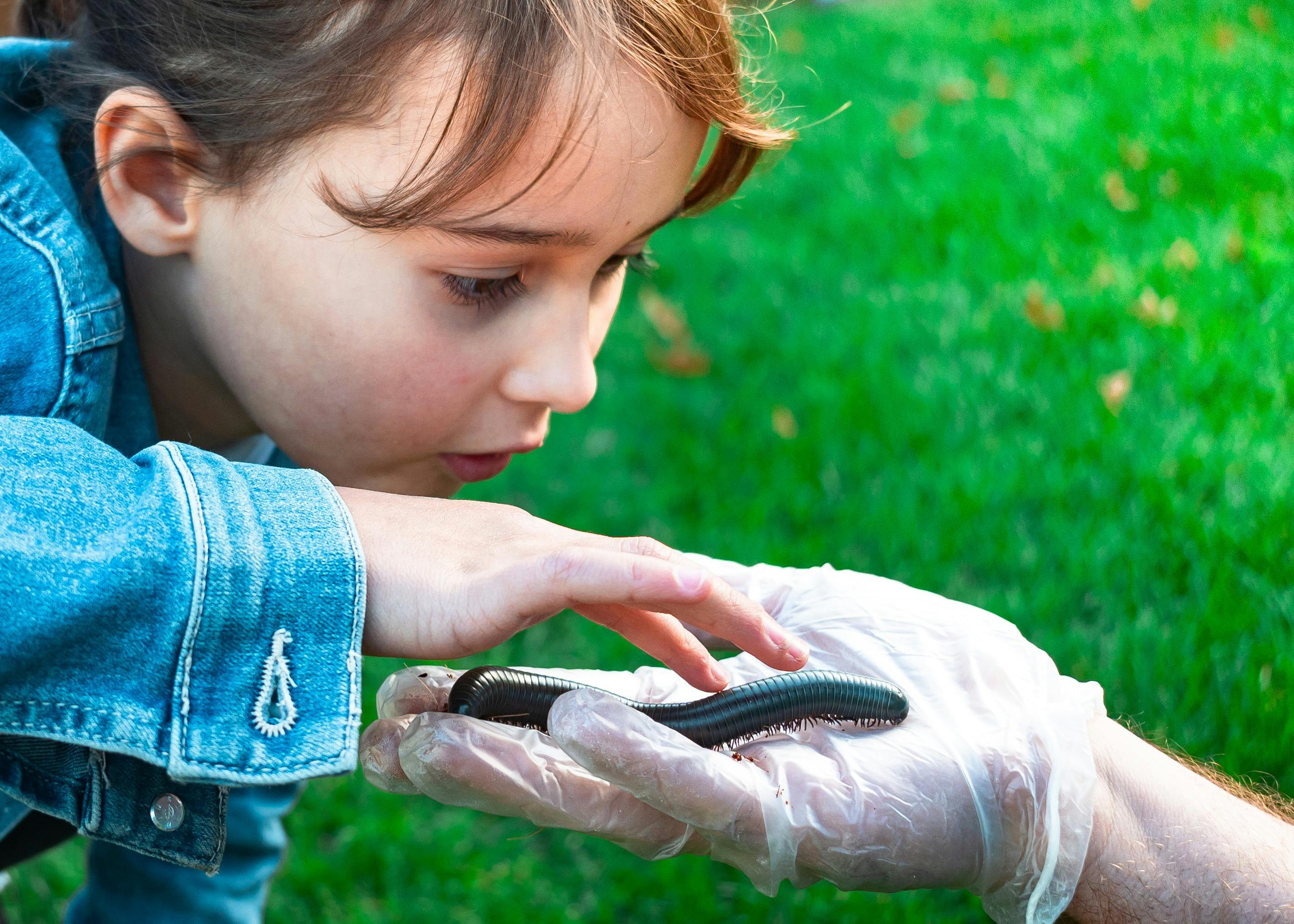 Meet amazing bugs like millipedes, ladybirds, beetles and more.