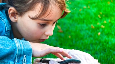 Meet amazing bugs like millipedes, ladybirds, beetles and more.