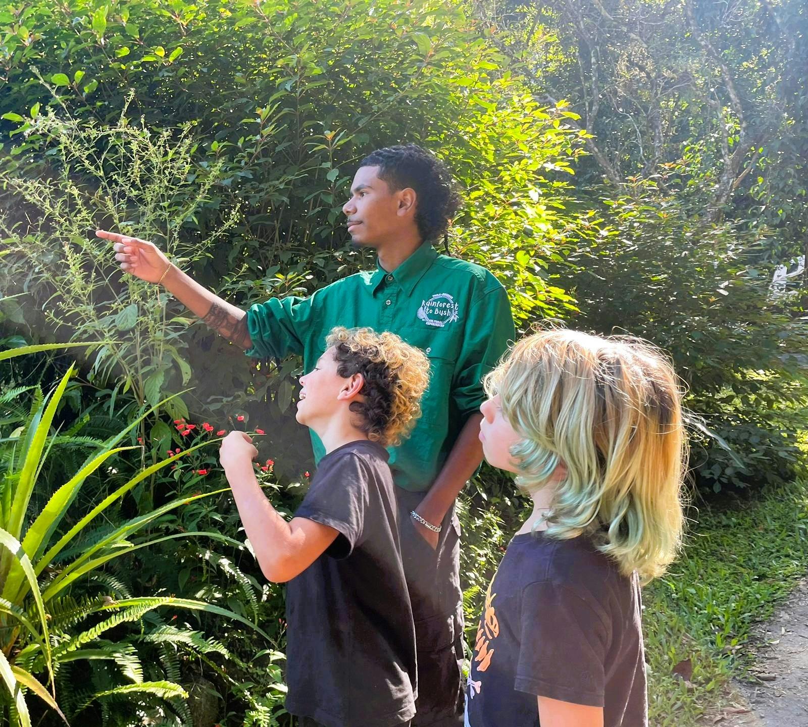 guide explains rainforest plants to group