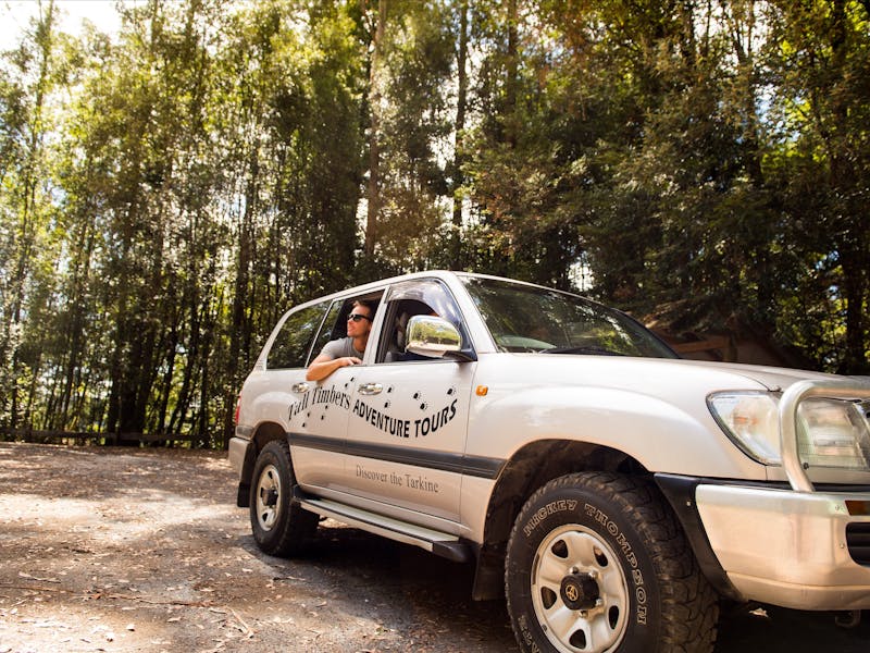 Tall Timbers Adventure Tours