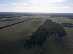 View of the farm from above, overlooking the paddocks and native scrub