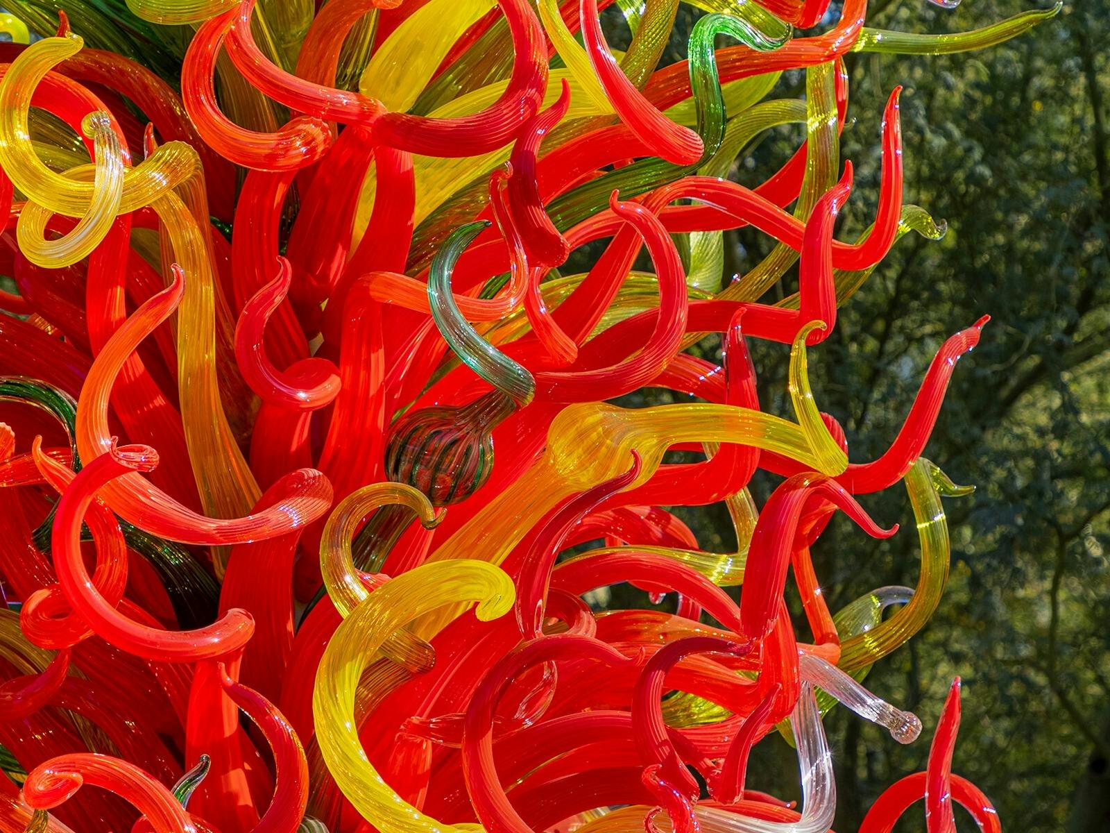 Chihuly in the Botanic Garden