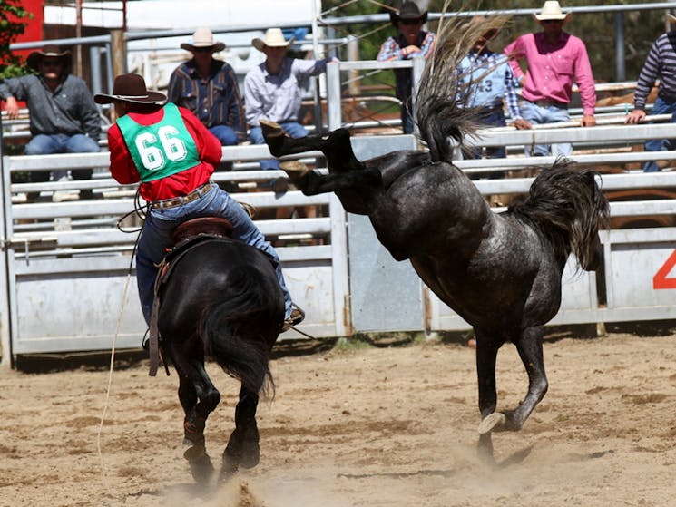 Battle on the Bidgee Buck jump