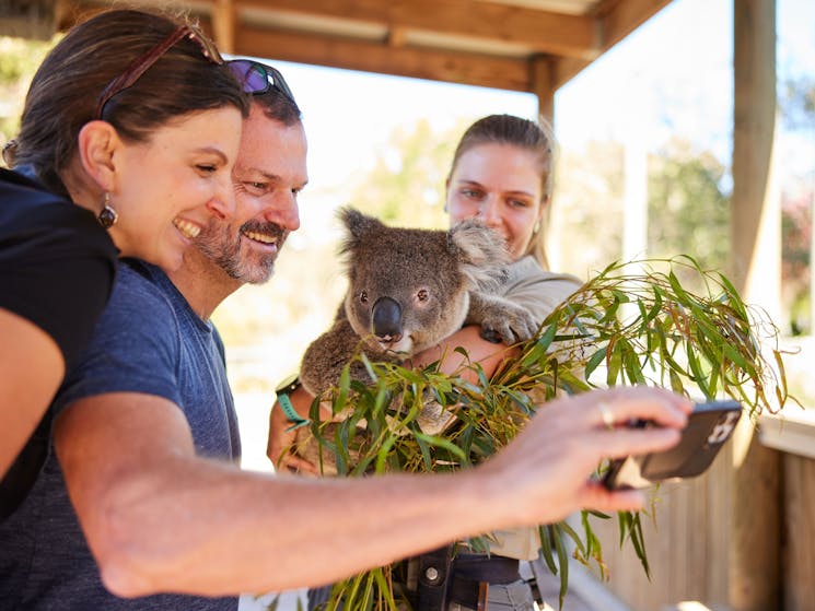 couple taking selfie with a koala held by the zookeeper