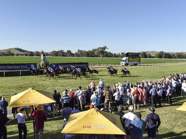 Races at Gundagai