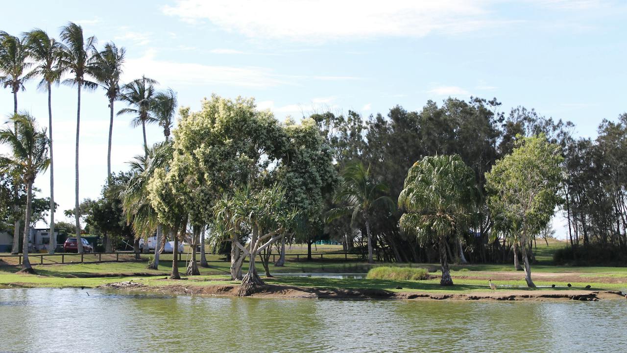 Moore Park Wetlands