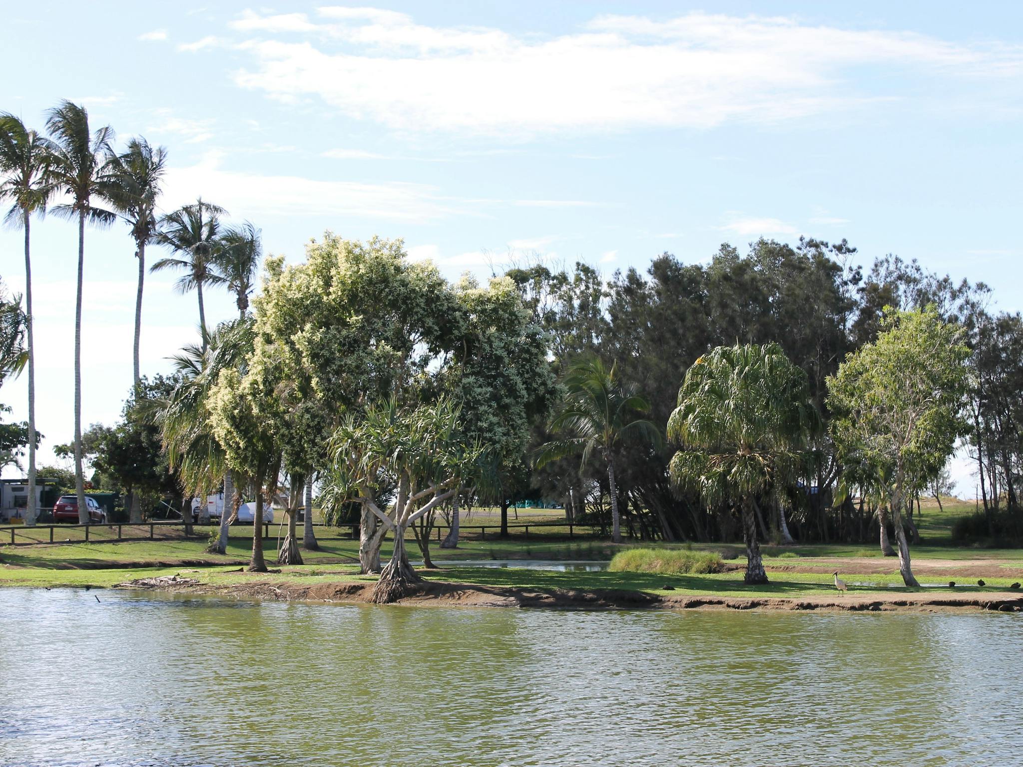 Moore Park Wetlands Moore Park Wetlands