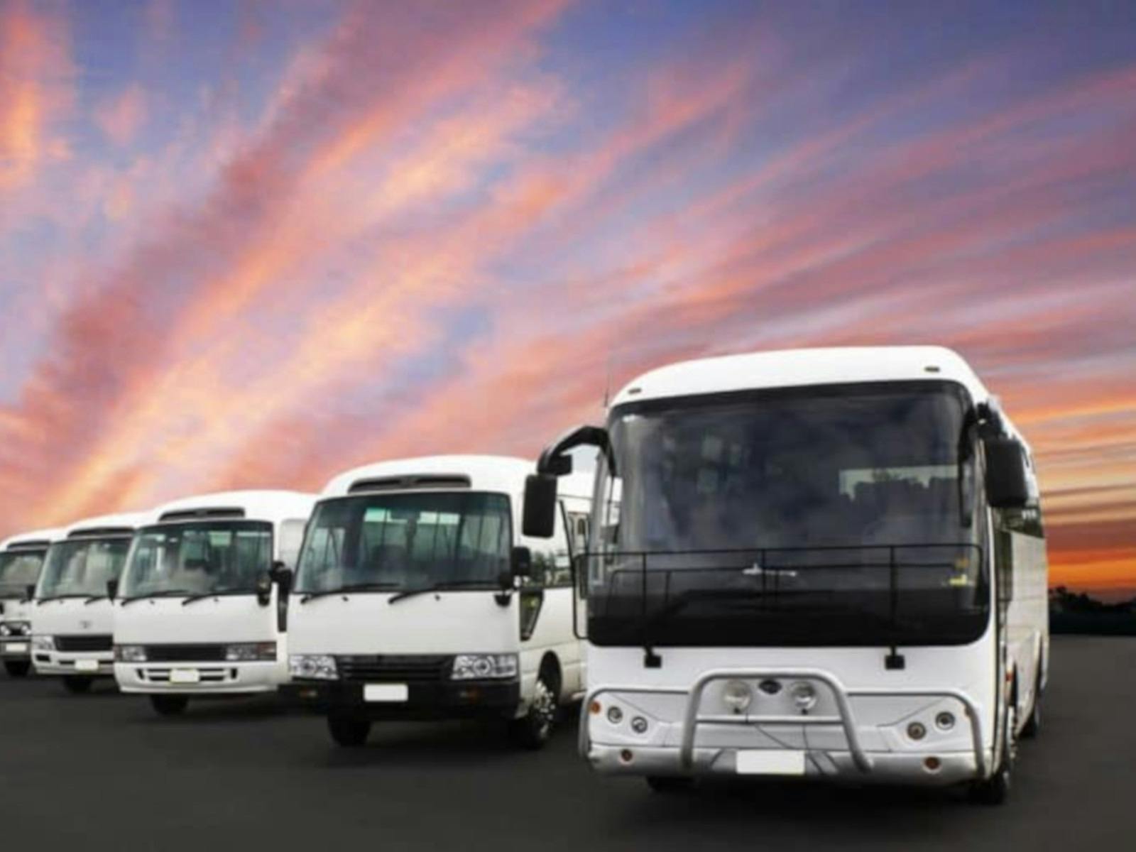 A fleet of buses in a row