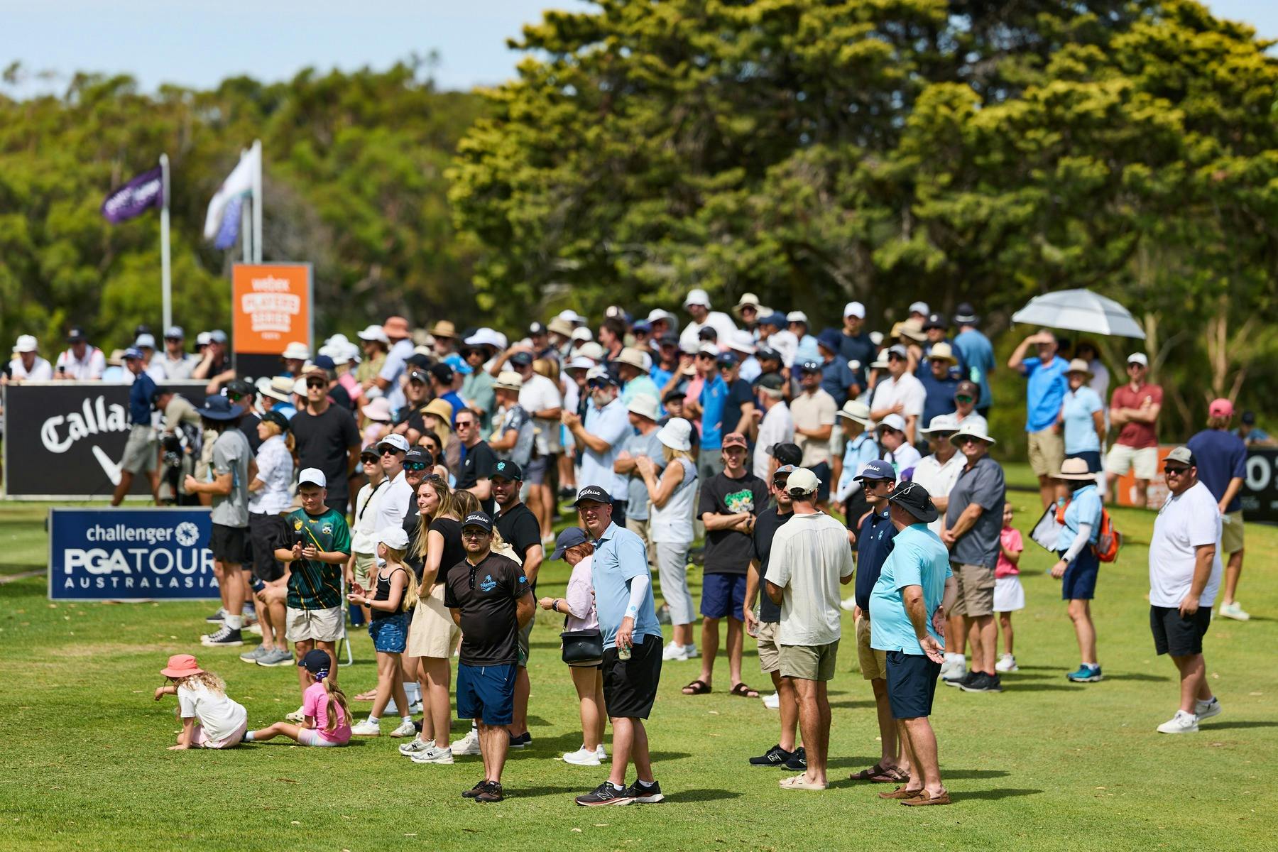 Crowd Shots